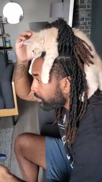 Cat in hair.