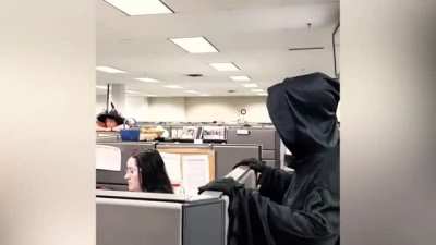 You have a new colleague today