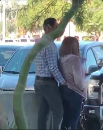 Can't unsee that 