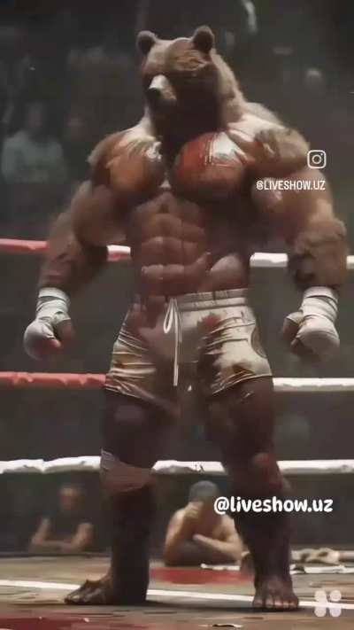André sola ?