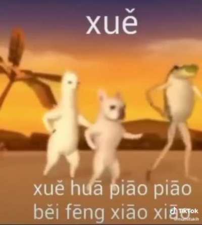 Xuē