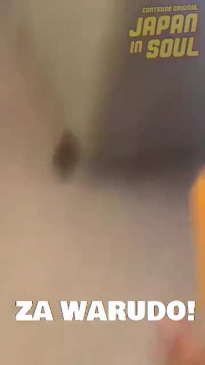 Ora ora