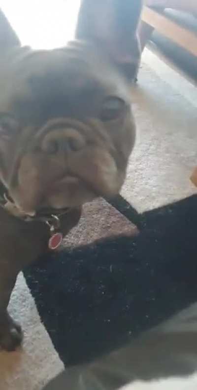 she attac