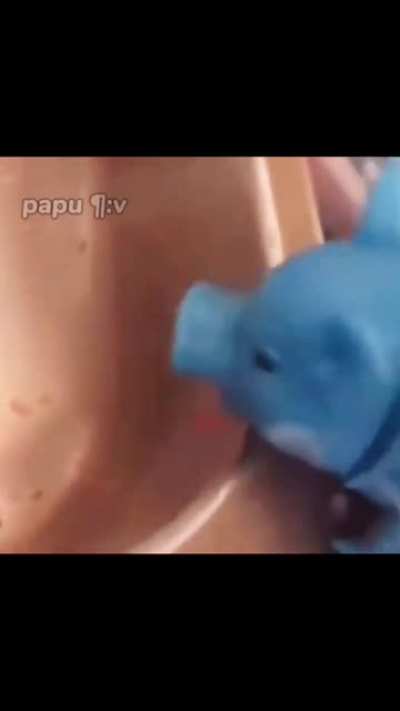 blursed pig