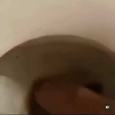 poop