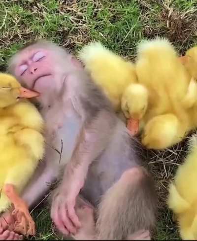 Chillin’