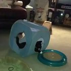 A 'Ribbeting Excatlation!'