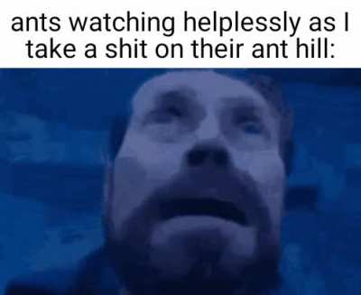 they can't do shit!