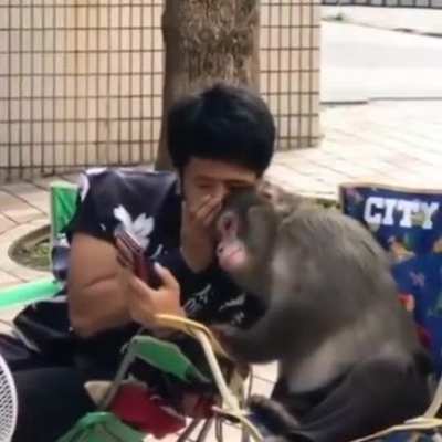 Monkey’s got some gossip