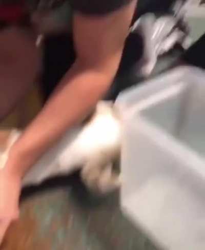 Trash picking