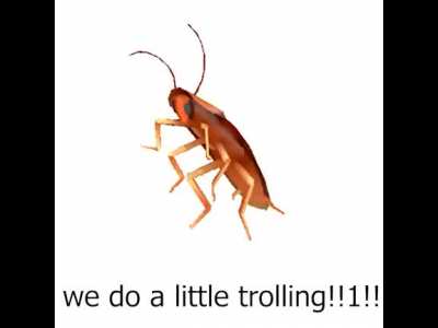 a little trolling!!1!
