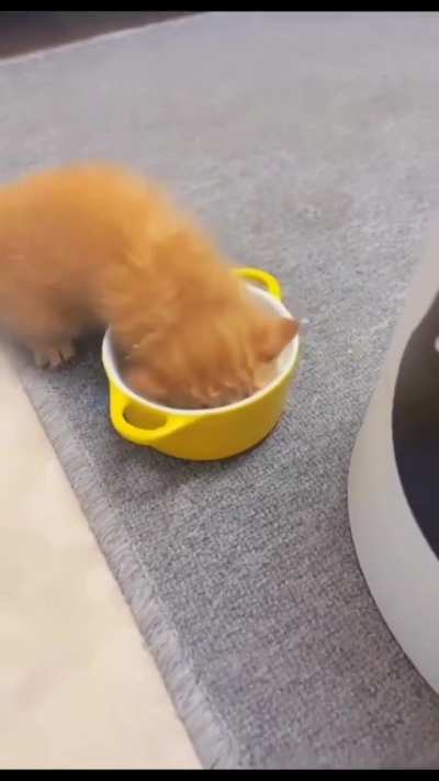 Thirsty Wunky