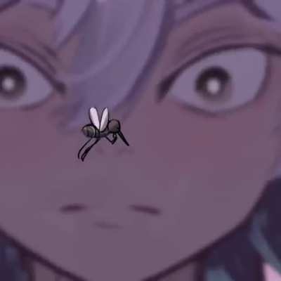 MOSQUITO AT NIGHT 