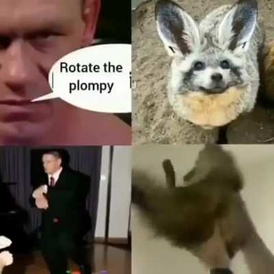 plomp