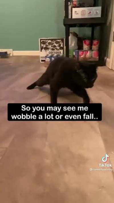 Willy Wonky