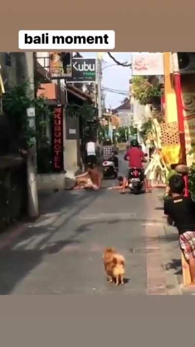 Most west*<wbr>id-fr<wbr>iendl<wbr>y Balinese