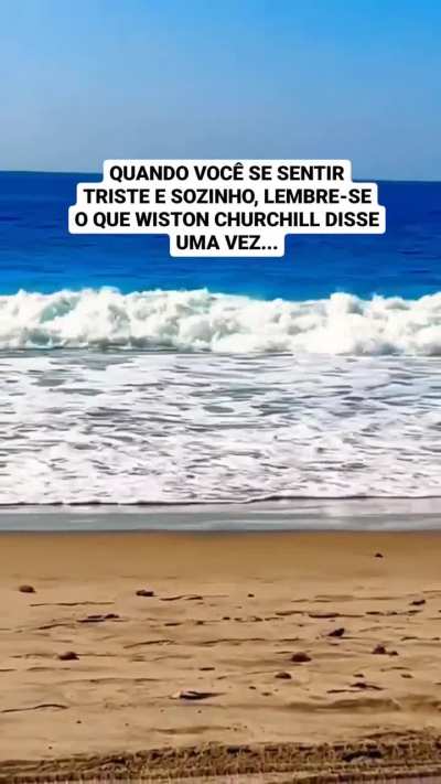 (Outro) 🧘‍♀️ Minutos de Sabedoria 🧘‍♂️