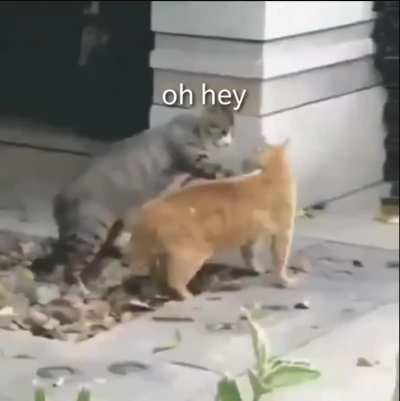 When someone sneezes without covering their mouth [OC]