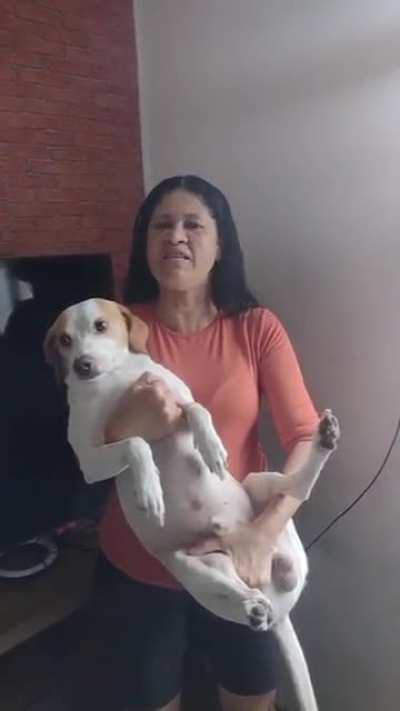 Cachorro ateu kkkkk