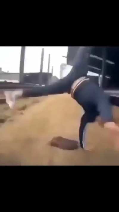 Poo