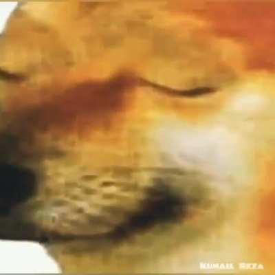 Sound on