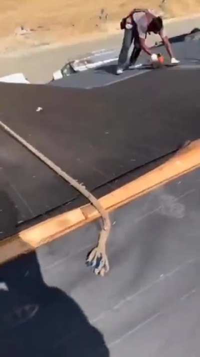 Roofer