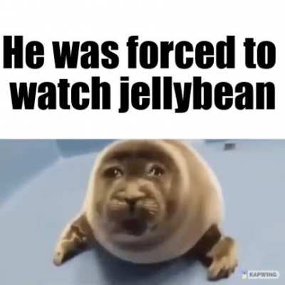 Beans