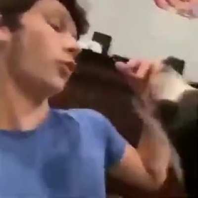 ¿Are you gay bro?