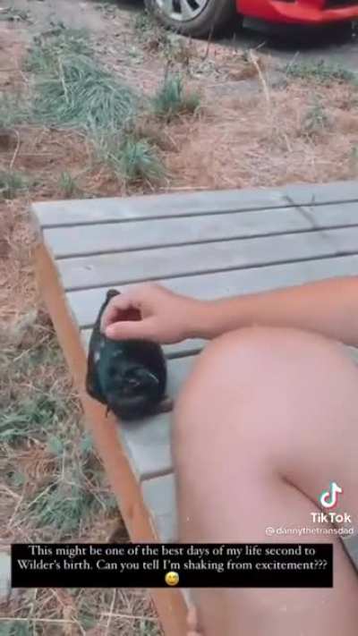 Crow Mastery: Attained?!