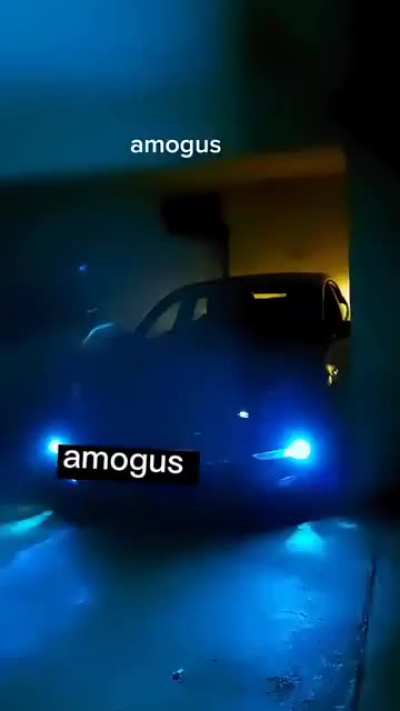 Tesla: Model SUS