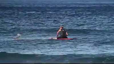 Killer Waves Bruh
