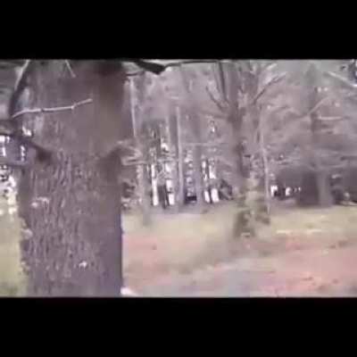 Dum-dum with a gun in the wild