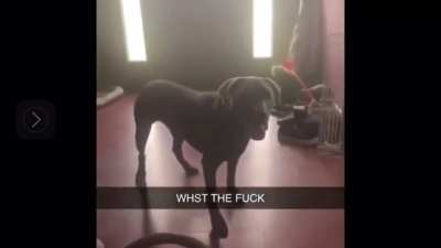 Oh fuck