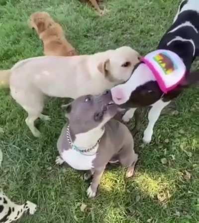 Nuzzle buddies!