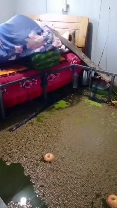 Nem sei por onde começar
