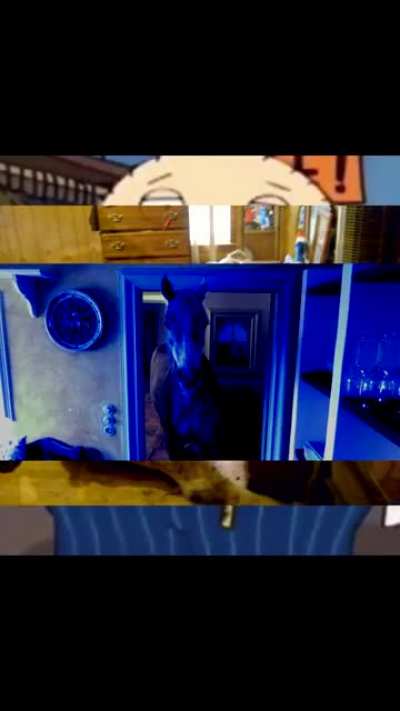 Aye