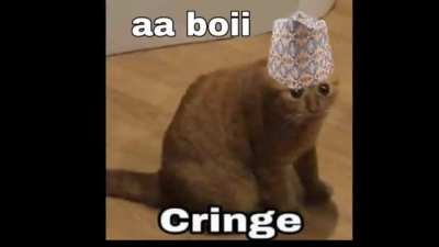 No one , meme on discord