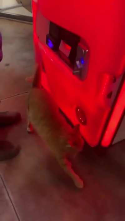 Different kind of claw machine