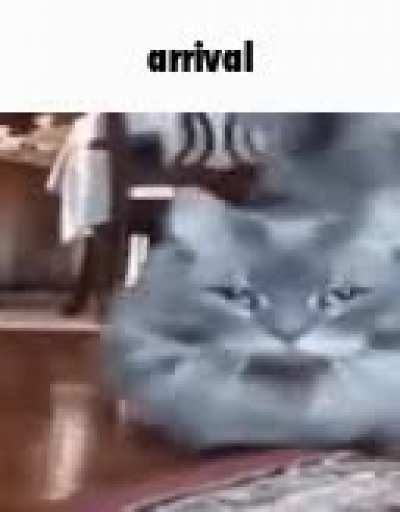 Rulé