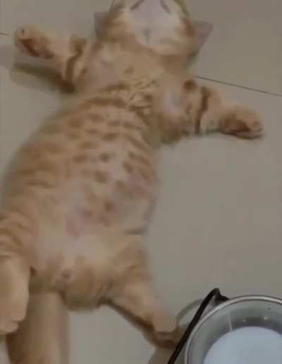 After dinner.