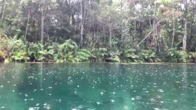 Afternoon rain at a cenote in Tulum, Mexico
