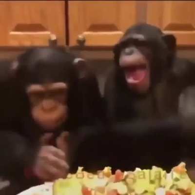 It's funky monkey friday everyone yeeeeaaAAAAAA
