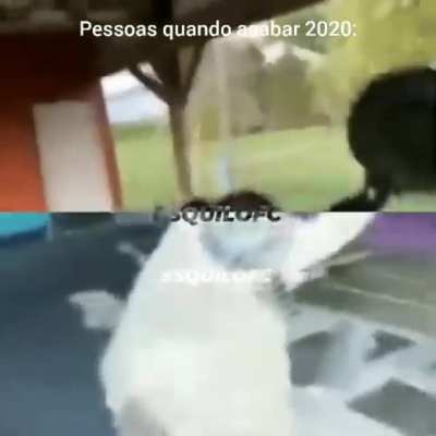 Felicidade:D