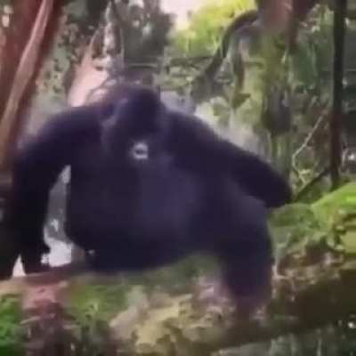 Quanto o titan bestial recebe a noticia que ninguem quer herdar ele