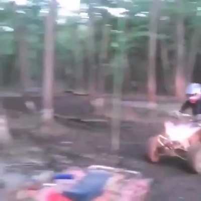 Deforesting