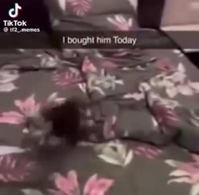 :3