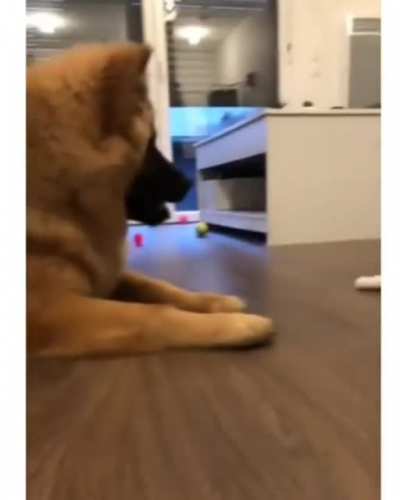 Мой мячик