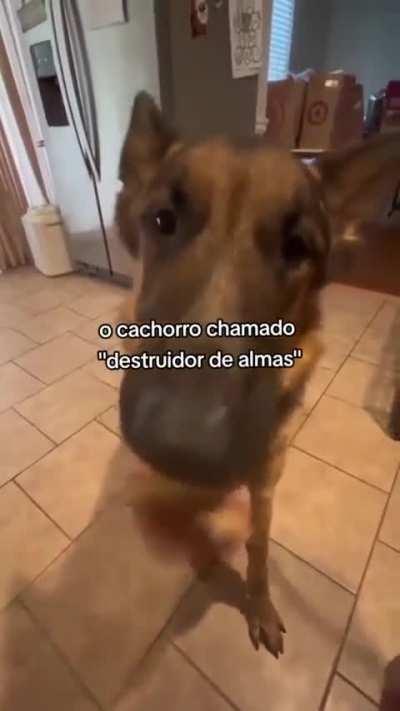 De fato um monstro