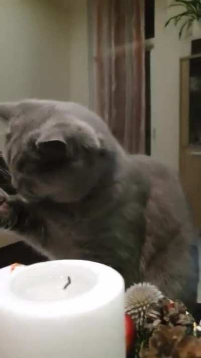 Touch tha candle