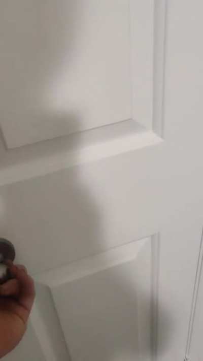 Just had to make sure the rake wasn't hiding in a closet
